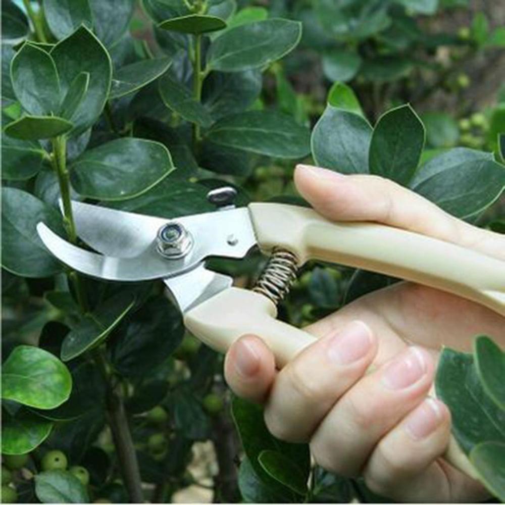 Head Stainless Steel Spring Sesign Pruning Shears Grafting Tool Garden Supplies Branch Shears