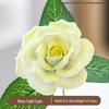Handcrafted Ceramic Flowers, Preserved & Artificial Bouquets, Home Décor, Display Items, Travel Souvenirs, and Cultural Gifts.