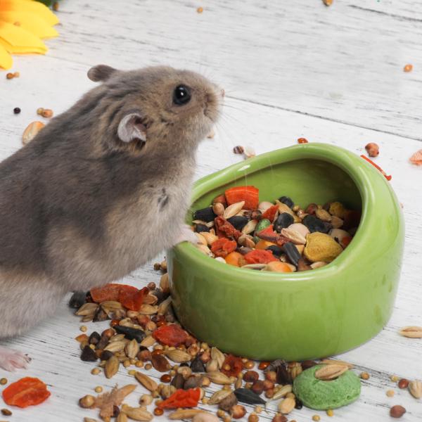 rodent proof dog feeder