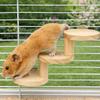 Bite Resistant Platform Jumping Board Scratching Surface Small Pets Stairs  Pet Cage