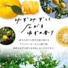 YUZU Watery UV Gel Daily Aroma Japan Made in Japan Yuzu Yuzu Sunscreen Citrus (40g) SPF50+ PA++++