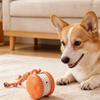 Practical Plastic Friendly Electric Rolling Ball with Random Movement Rechargeable for Pet Dogs Compact and Portable