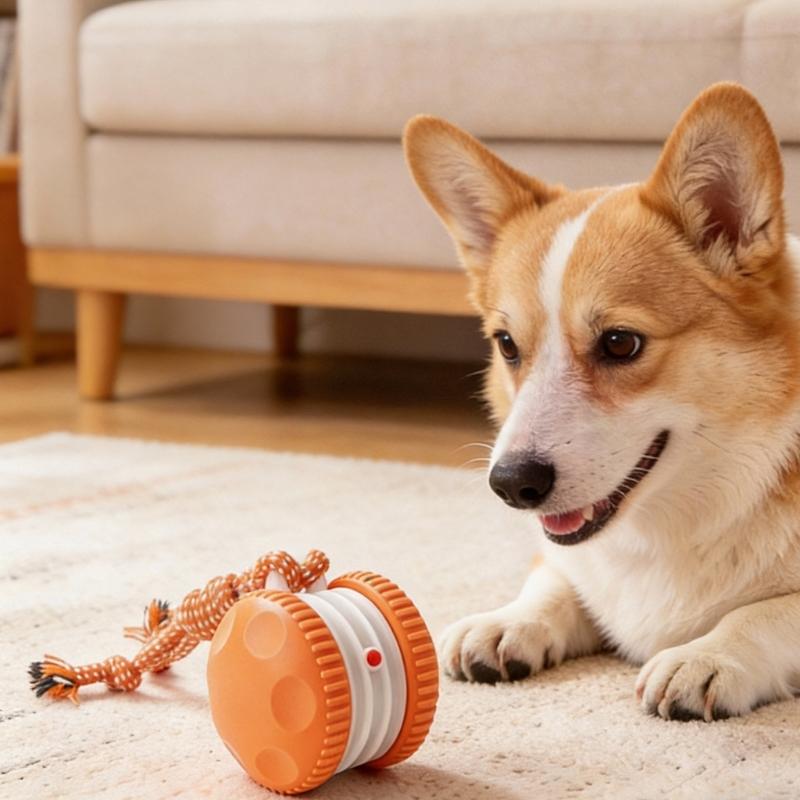 Practical Plastic Friendly Electric Rolling Ball with Random Movement Rechargeable for Pet Dogs Compact and Portable