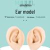 Silicone Fake Ear Model for Teaching and Earring Display