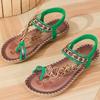 Fashion Women's Sandals Bohemia Style Sandals Summer New Shoes for Woman Flip Flops Beach Summer Shoes Women Low Heels Footwear