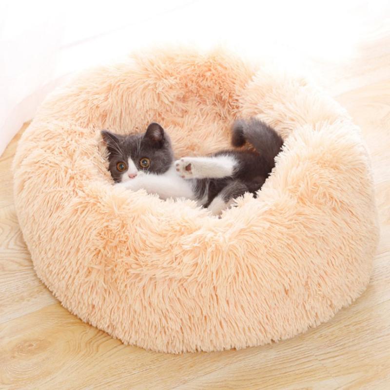 long cat bed