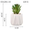 Small, Wavy Cup-Shaped Simulated Succulent Plant Potted Plant, Nordic Office Furniture Fresh Decoration