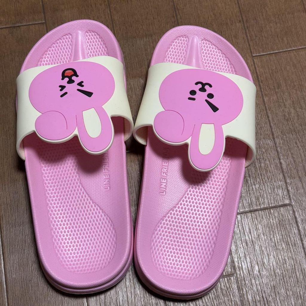 [USED] BT21 COOKY slippers