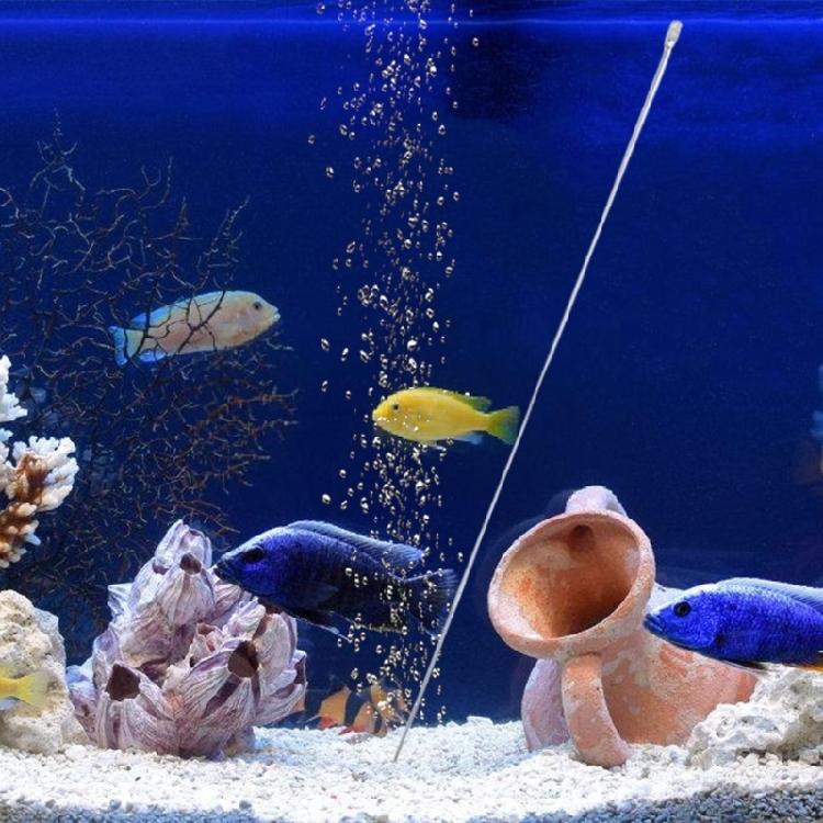 10lots Fish Tanks Nutrient Dispensers Aquariums Feeding Tube Durability Equipment for Consistent Plant Feeding