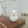 Lovely Bird Simulation Parrot Peony Parrot Plushie Budgerigar Budgie Plush Toys Lifelike Animals Stuffed Doll Toy