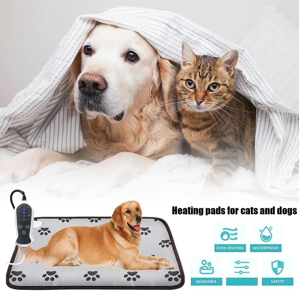 Are Warmed Dog Beds Safe