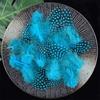50pcs Small Size Natural Feathers Spotted Pattern Real Plumes Spotted Feathers Multicolo Natural Color Fake Eyelashes DIY