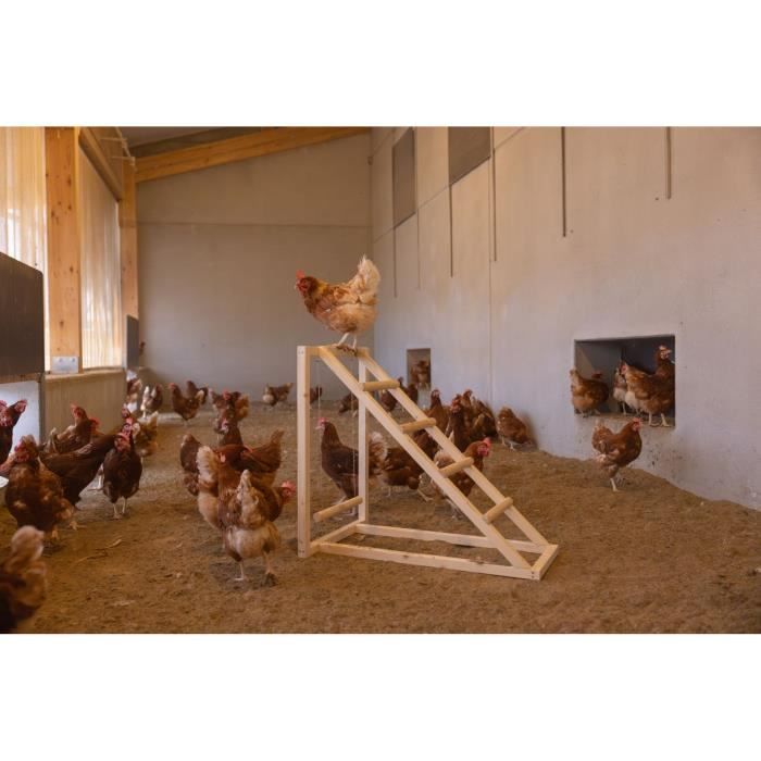 Tour d’escalade pour poules - KERBL - 85 x 55 x 76 cm - Avec balançoire - Echelle robuste
