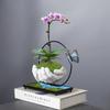 Phalaenopsis Blumentopf Glücksbaum Bonsai Retro Reis Bambus Innen schwebende Insel Hängender Eisen Mikro-Landschaftstopf