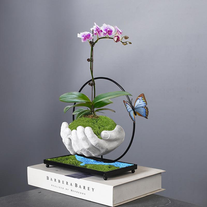 Phalaenopsis Blumentopf Glücksbaum Bonsai Retro Reis Bambus Innen schwebende Insel Hängender Eisen Mikro-Landschaftstopf