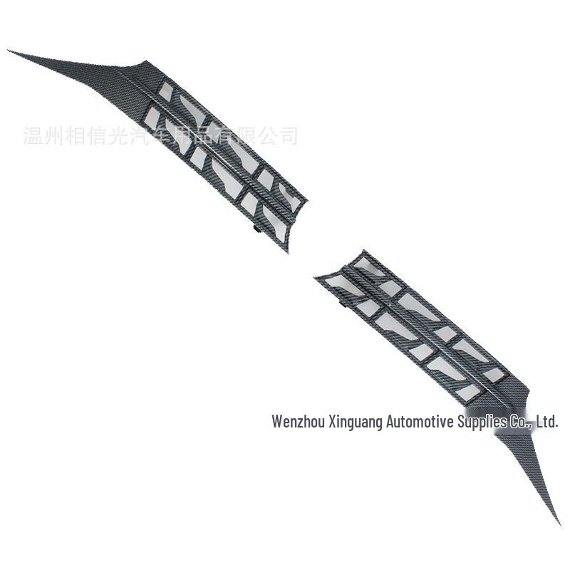 Denza D9 Windshield Insect Net: Black Carbon Fiber Car Exterior Decorative Parts for 25 Models