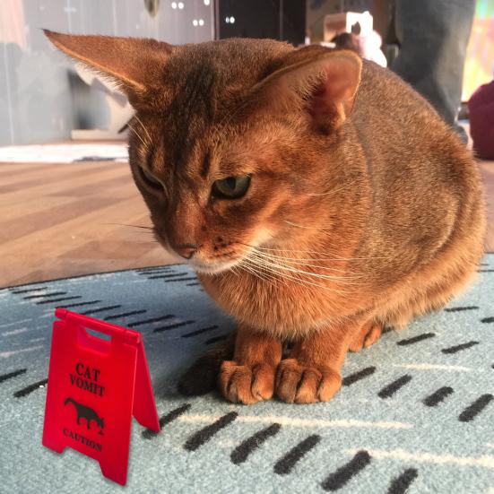 Vorsicht Katzen Erbrochenes Schild Tischaufsteller Warnschild Vorsicht Hund Erbrechen Mini Schild Haustier Vorsicht Schild Streichgeschenk für Tierliebhaber