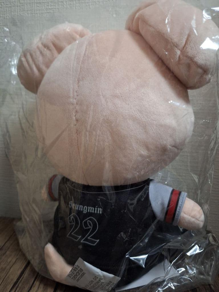 [USED] StrayKids Puppy Plush Toy