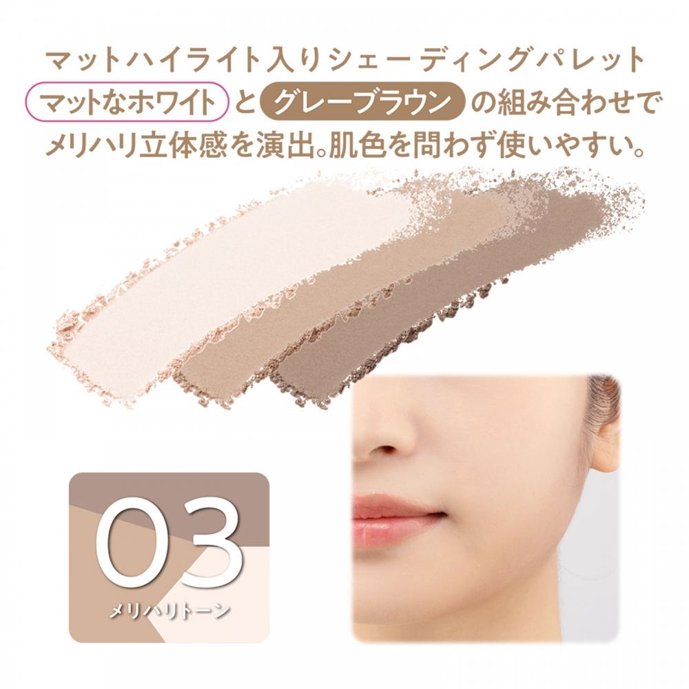 Sesanne Blend Color Shading 03 Sharp Tone   Sesanne Cosmetics