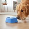 Cães – Louça para cães
