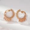 New Natural Zircon Tassel Dangle Earrings For Women Luxury  Rose Gold Color Ethnic Bride Unique Daily Fine Cute Jewelry