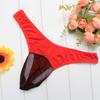 Fun Men's Panties Mesh Transparent Breathable Men's Men's Triangle Sexy, Sex Thong 2032