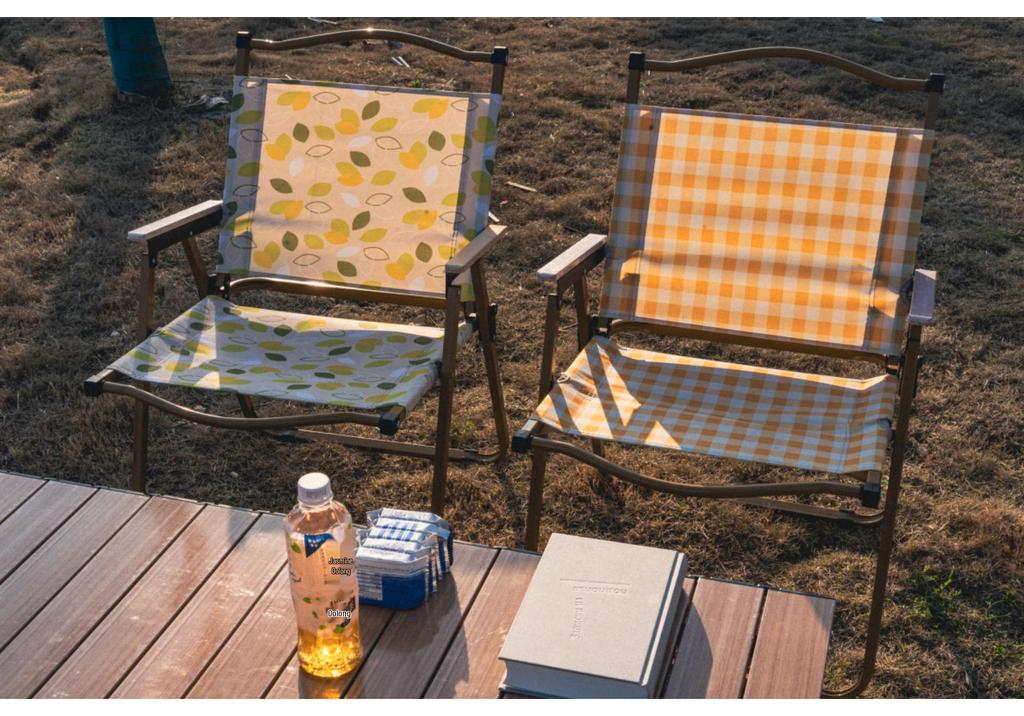 Kermit Aluminum Alloy Portable Folding Camping Chair