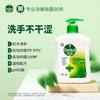 Classic Pine Hand Wash