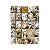 Katsuki Bakugou My Hero Academia Blanket  Plush Novelty Warm Throw Blankets for Bedding Lounge  Winter,