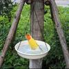 Hummingbird Feeder with Decorative Bird Bath for Balcony or Garden