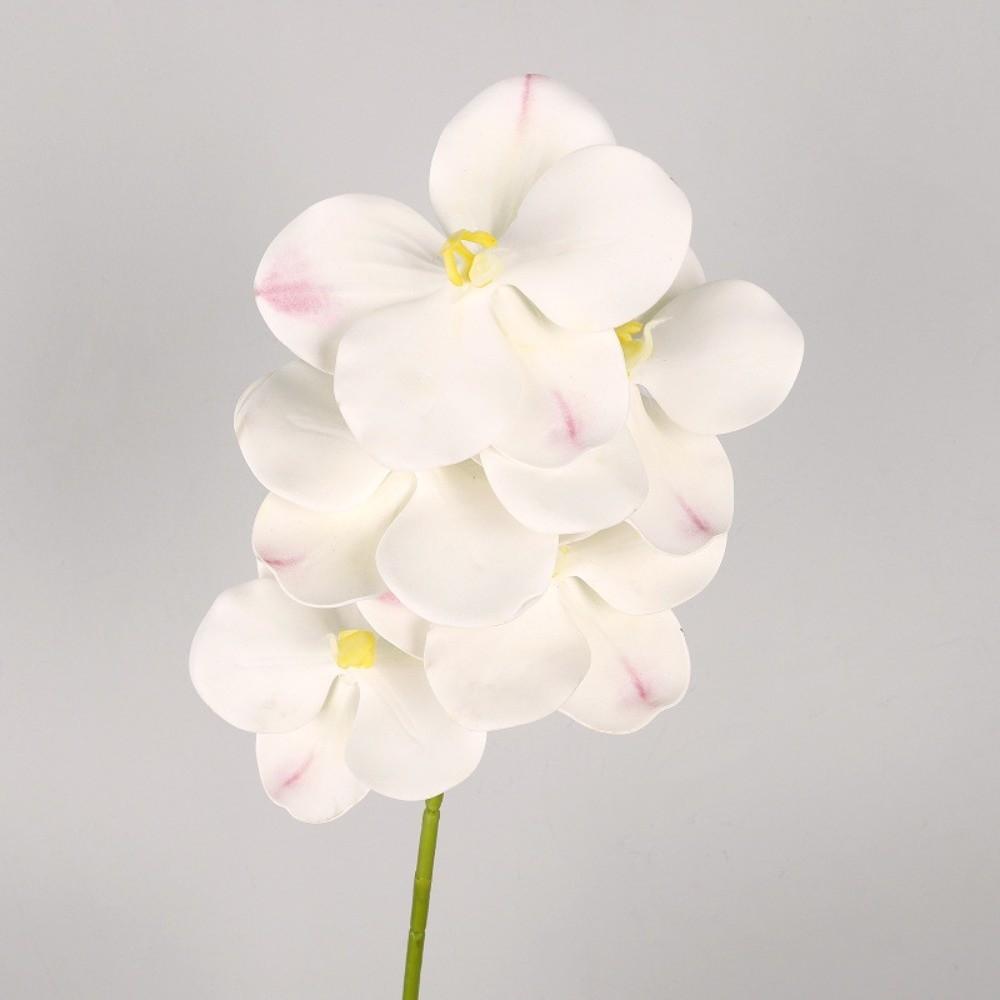 5 Heads Artificial Orchid Real Touch Multi Color Fake Phalaenopsis Flower Iron Wire Inner Lining 67cm Silk Flower