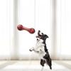 Nylon Gezacktes Knochen Beißspielzeug für Hunde, das nicht kaputt geht, Interaktives Training zur Energiefreisetzung, Zahnreinigendes Mittelgroßes Hundespielzeug