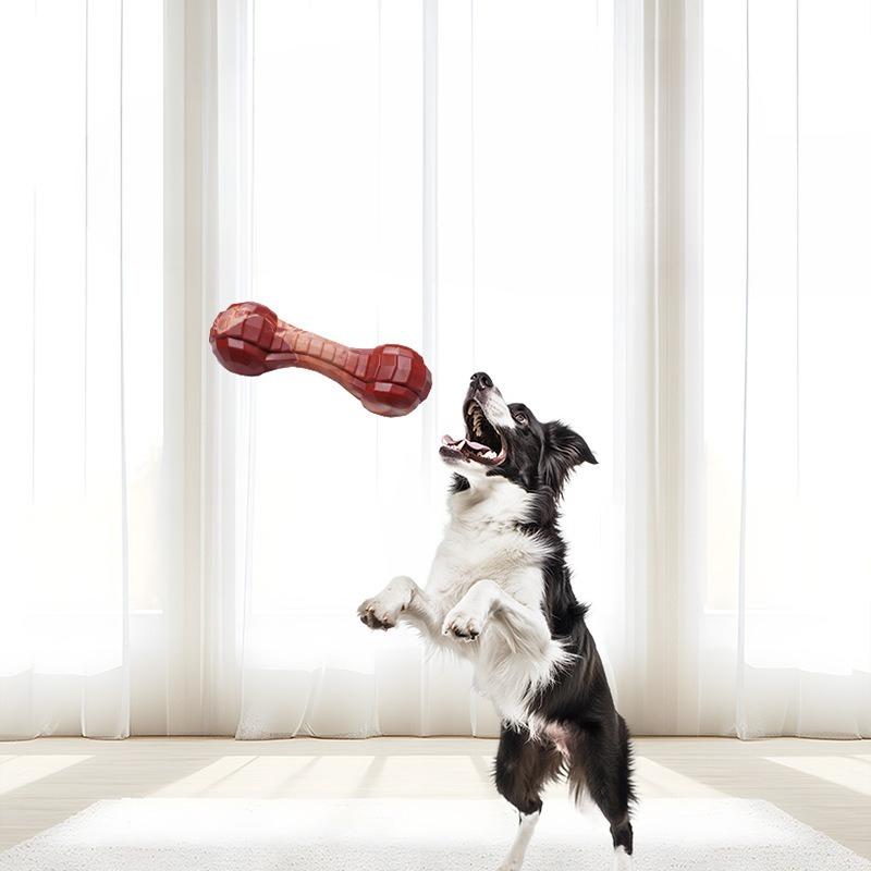 Nylon Gezacktes Knochen Beißspielzeug für Hunde, das nicht kaputt geht, Interaktives Training zur Energiefreisetzung, Zahnreinigendes Mittelgroßes Hundespielzeug