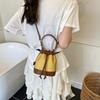 Niche bag women's new summer versatile messenger bag drawstring mini bucket bag