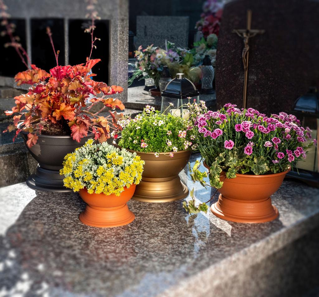 KADAX Pot Bowl Bowl For Chrysanthemums