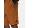 Pantaloni scurți Billabong Larry Twill