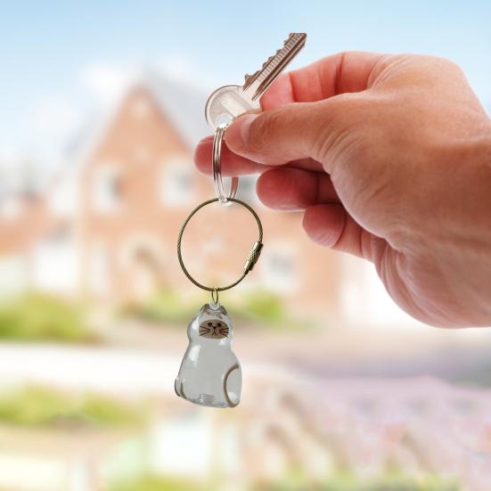 

3Pcs Cat Hair Storage Box Keychain Memorial Bottle Pet Hair Acrylic Dog Hair Collector Container