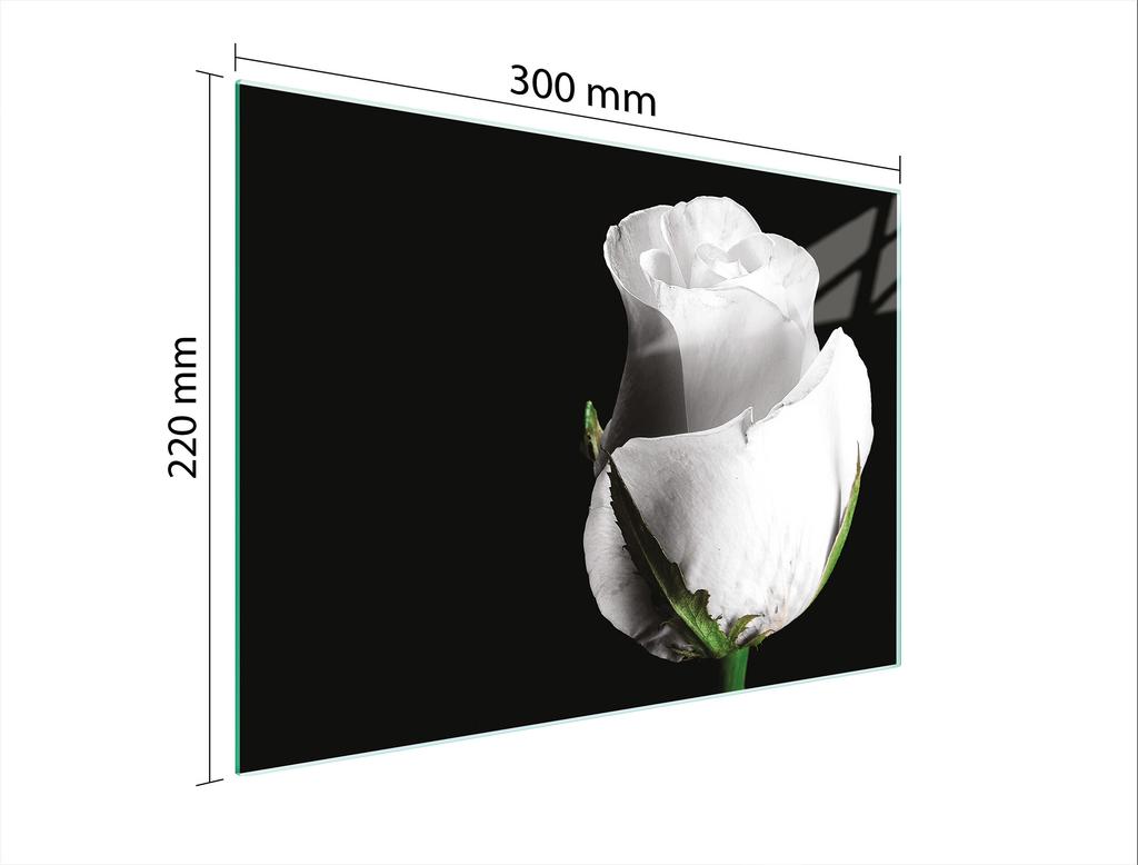GLAZEN SNIJPLANK 30x22 ROOS