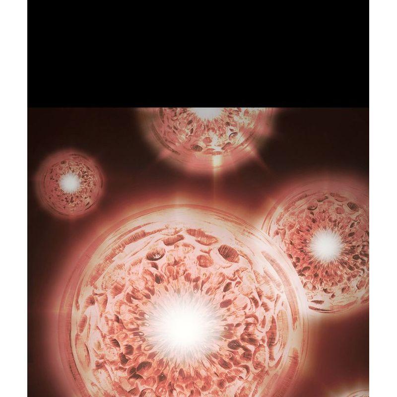 ma:nyo Bifida Biome Concentrate Serum