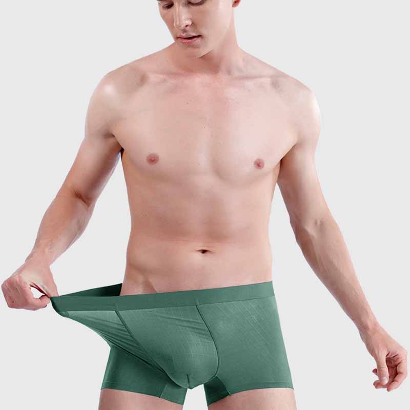 Mens Boxer Shorts Ice Silk Men Panties Seamless Underwear Man Underpants Panties Male Ultra-thin Breathable Briefs