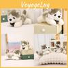 Siberian Plush Charming Husky Dog Stuffed Animal Toy Perfect For Gifts Kids