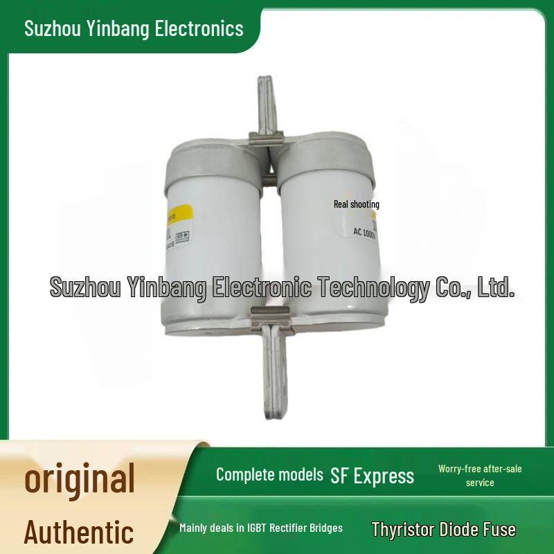Original Fast-Acting High Voltage AC Fuse Link 600SPF80S/100S