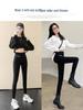 Women's Shark Pants: Tummy Control, Hip Lift, Petite to Plus Size, Lightweight Spring/Summer Yoga Leggings