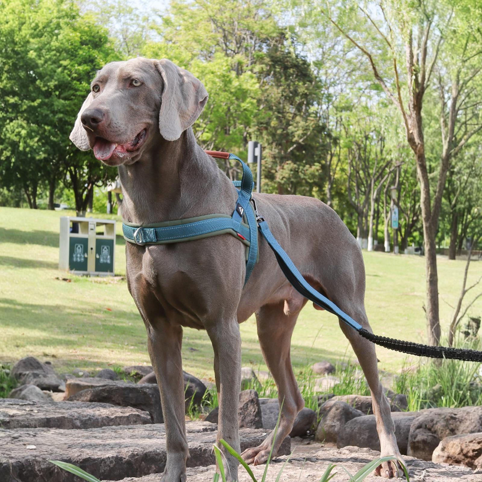 

Quick Fit Dog – No Pull for Training, Everyday Walking, and Easy Control - Adjustable Fit, Reflective, and Padded (Large, Gray) S