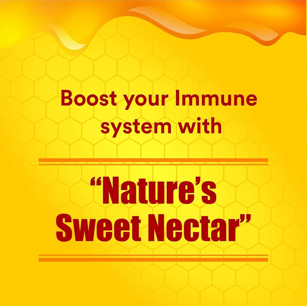 Baidyanath Asli Ayurved Honey 500G X Pack of 2 Pure Natural Sweetener for Energy, Immunity, and Healthy Lifestyle