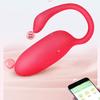Smart Wearable Remote Control Vibrator for Women: Adult Erotic Toy