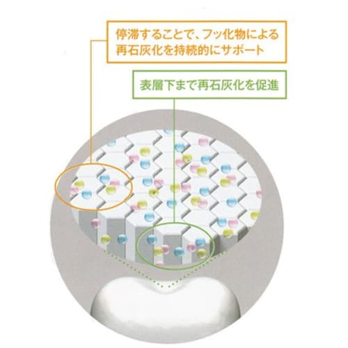 3M Clinpro Toothpaste Paste Citrus Mint Flavor 8253 90g