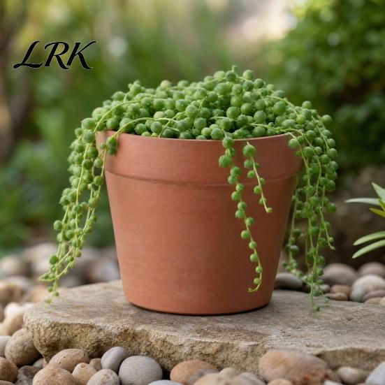 Terracotta Flowerpot Flowerpot, Clay Plant Pot with Drainage Hole, Porous Indoor Outdoor Planter for Plants Succulents Cacti Herbs Crack Resistant