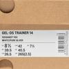 ASICS GEL-DS TRAINER 14 Unisex Running Shoes