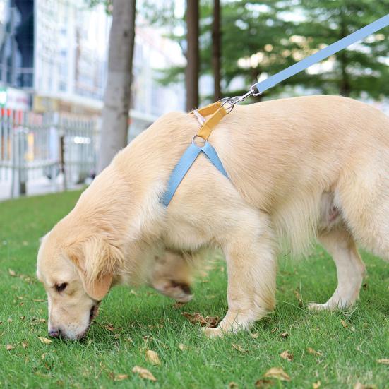 Yousheng Pet Chest Strap Multi-color Anti-escape Adjustable Fashion Pet Harness Traction Leash for Outdoor